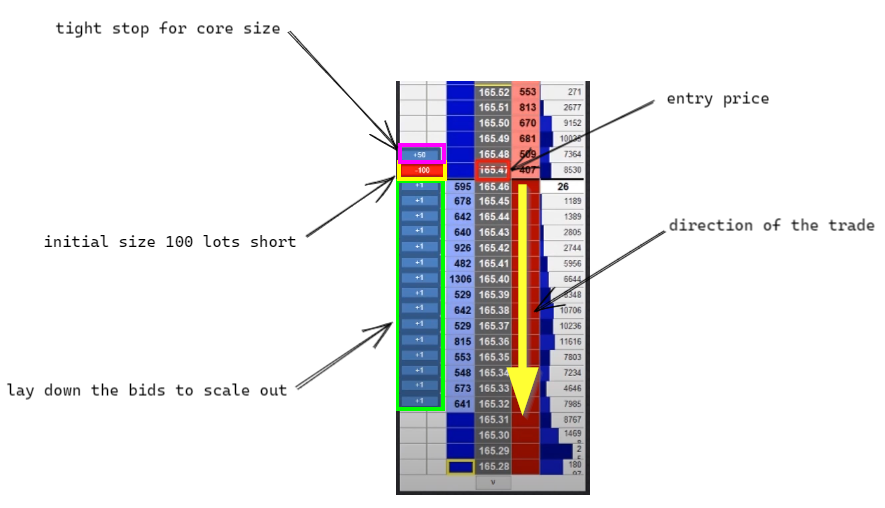 Price ladder example explaining the Elite Trader Technique